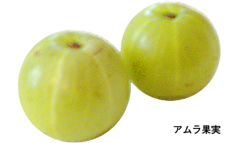 アムラ果実